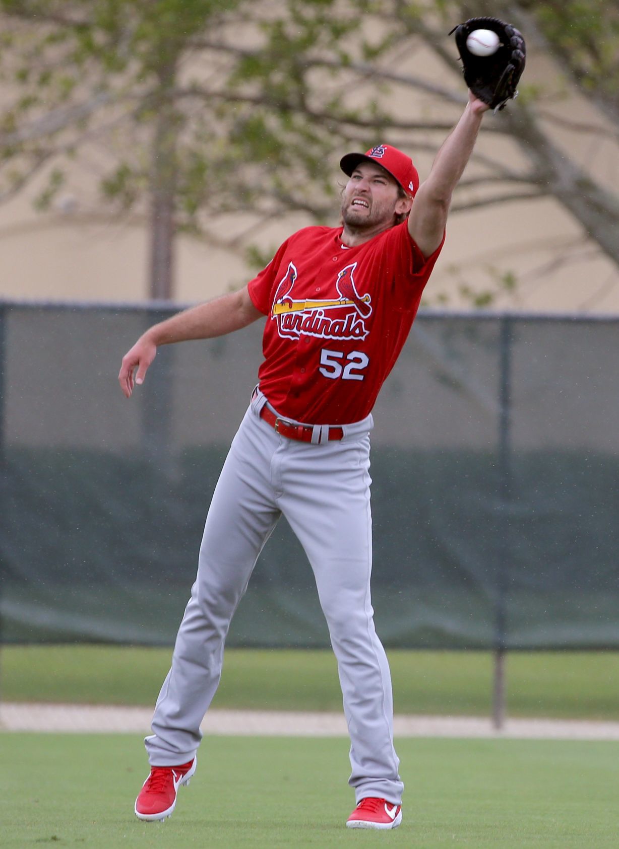 Cardinals spring training